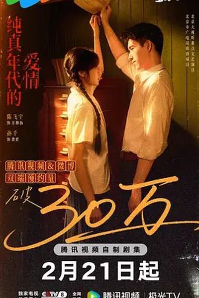 暖阳之下 电视剧 2025